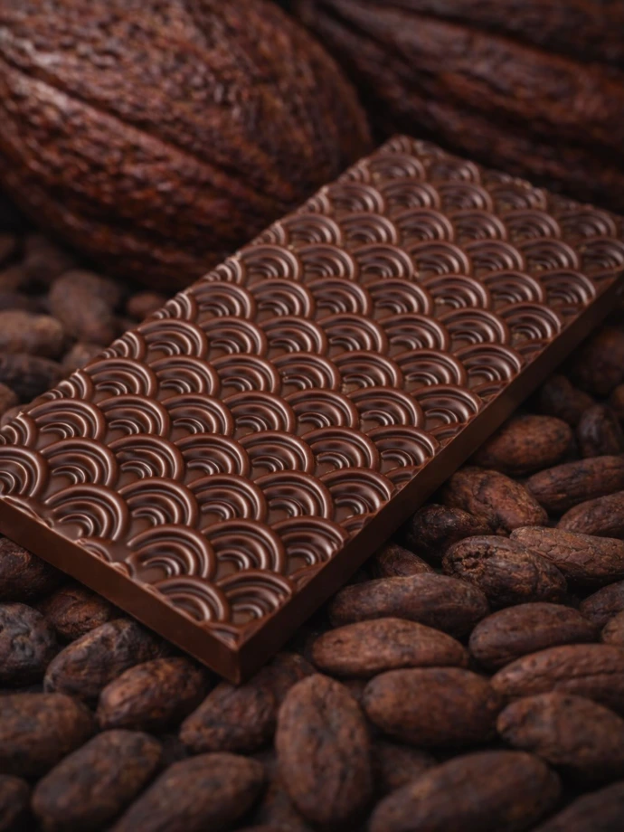 Tablette  Xocoline Sans Sucre