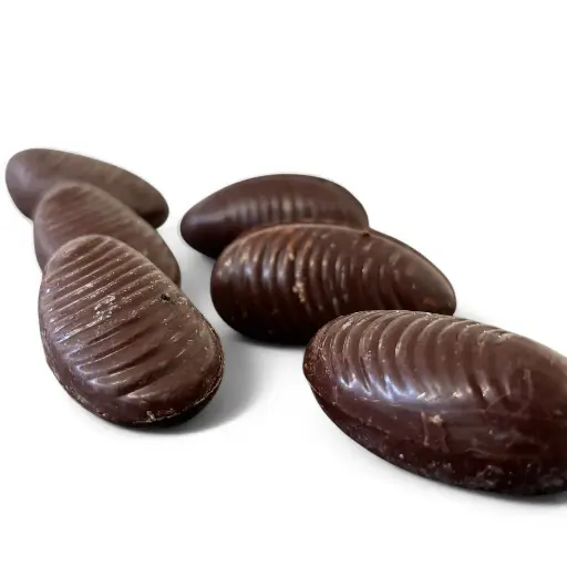 Moules Chocolat noir et caramel Fleur de sel